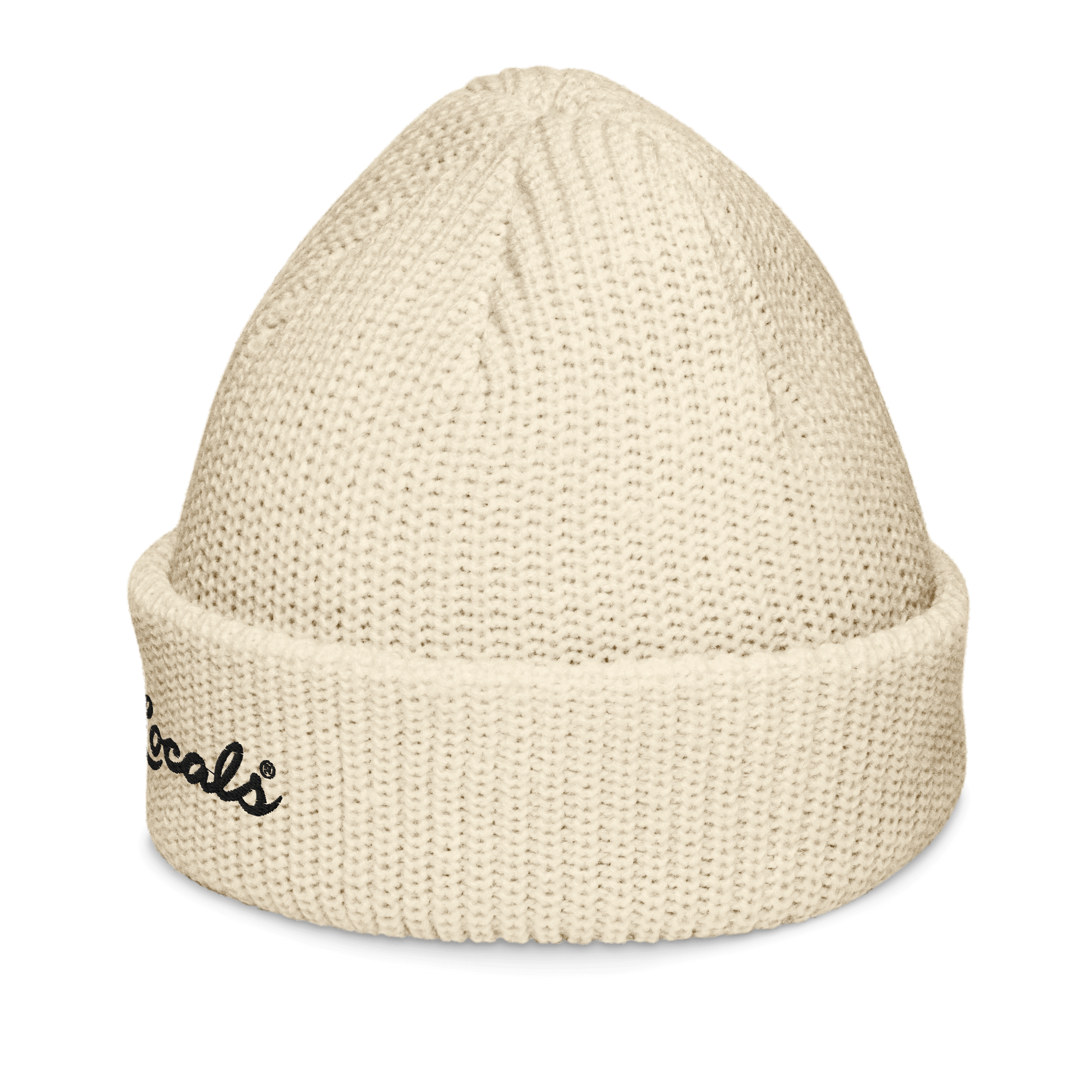 Script Logo Fisherman Beanie